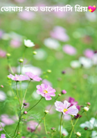 তোমায় বড্ড ভালোবাসি প্রিয়💖