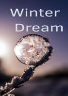 Winter Dream