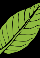 সবুজ ছোটবেলা