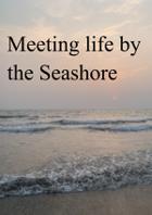 Meeting Life By The Seashore