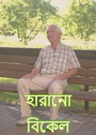 হারানো বিকেল