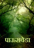 पाऊसवेडा