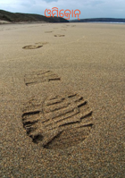 ଓମିକ୍ରୋନ୍