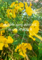 ഒരു കിനാവ്