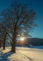 ખોટું નહીં ચાલે