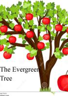 The Evergreen Tree