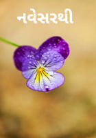 નવેસરથી