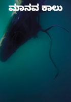 ಮಾನವ ಕಾಲು