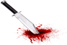 The Murder Of Agnel Wilson
