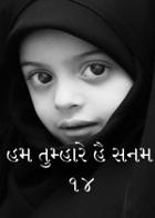 હમ તુમ્હારે હૈ સનમ - ૧૪