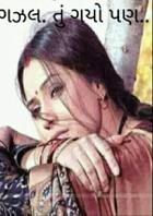 તું ગયો પણ..