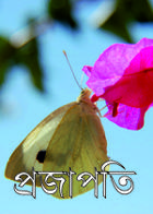 প্রজাপতি