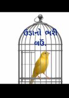 ઉડાનો ભરી લઉ