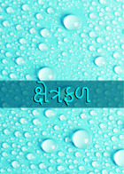 ક્ષેત્રફળ