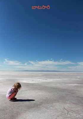 బాటసారి