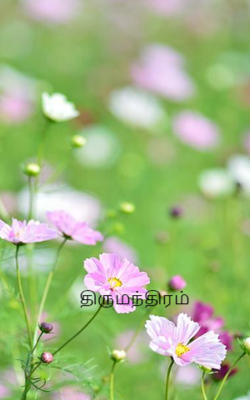 திருமந்திரம்