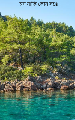 মন নাকি কোন সঙে