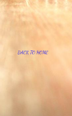 Back To Home