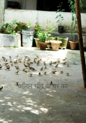 आंगन गांव के घर का