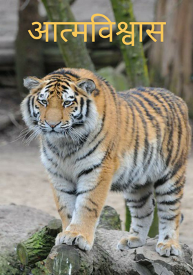 आत्मविश्वास