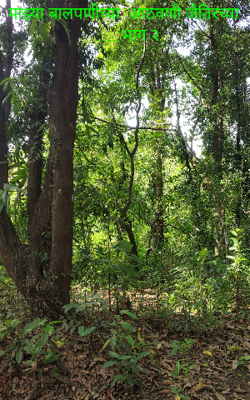 माझ्या बालपणीच्या  आठवणी जैतिरच्या - भाग १