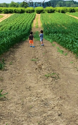 তিন্নি (পর্ব ৭)