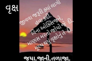 વૃક્ષ