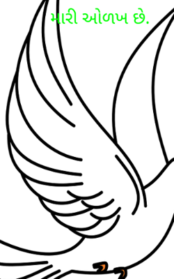 મારી ઓળખ છે