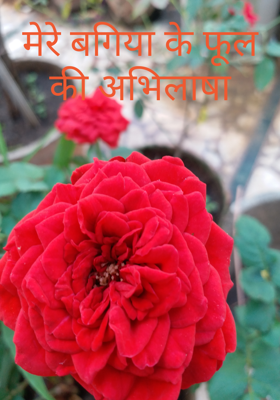 मेरे बगिया के फूल की अभिलाषा