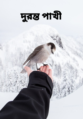 দুরন্ত পাখী