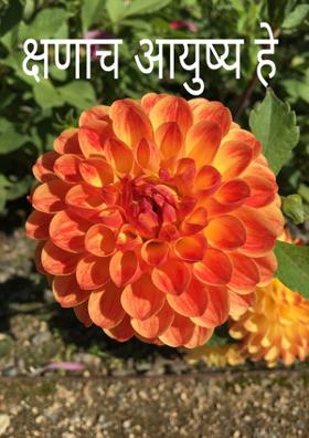 क्षणाच आयुष्य हे