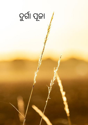 ଦୁର୍ଗା ପୂଜା