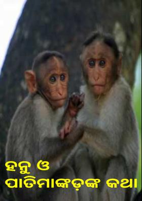 ହନୁ ଓ ପାତିମାଙ୍କଡ଼ଙ୍କ କଥା