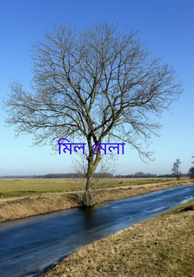 মিল মেলা