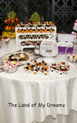 The Land Of My Dreams