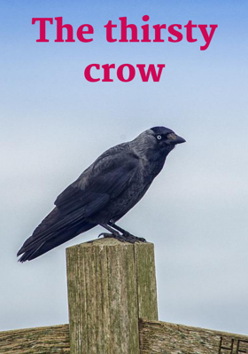 The Thirsty Crow