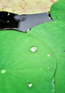 ଦୁଃଖ ତ ମୋର ବନ୍ଧୁ