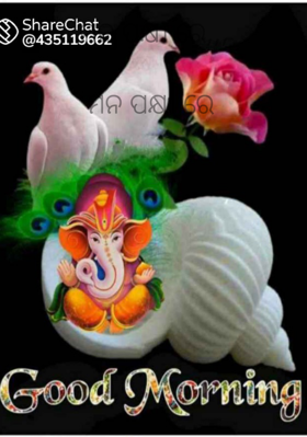 ମନ ପକ୍ଷୀ ରେ,,,ମନ ପକ୍ଷୀ ରେ