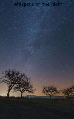 whispers of the night