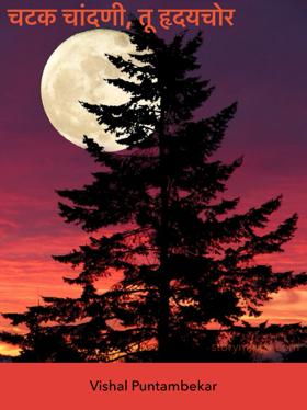 चटक चांदणी, तू हृदयचोर