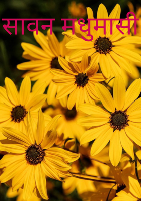 सावन मधुमासी