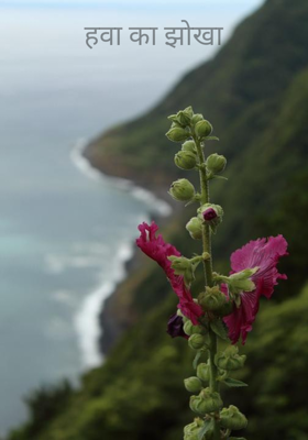 हवा का झोखा