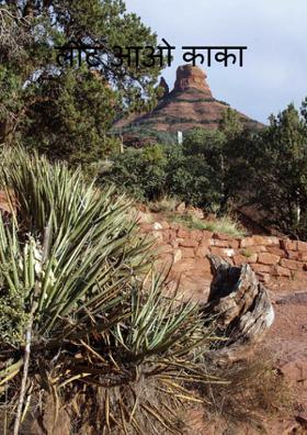 लौट आओ काका