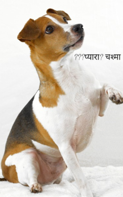 ???प्यारा? चश्मा