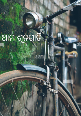 ଆମ ଶୂନଗାଡି