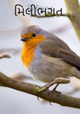 મિલીભગત