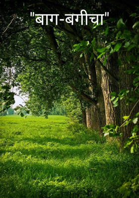 "बाग-बगीचा"
