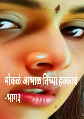 मोकळं आभाळ तिच्या हक्काचं-भाग३