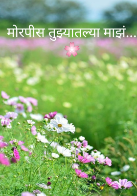 मोरपीस तुझ्यातल्या माझं...