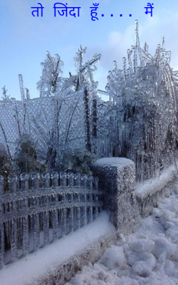 तो जिंदा हूँ.... मैं